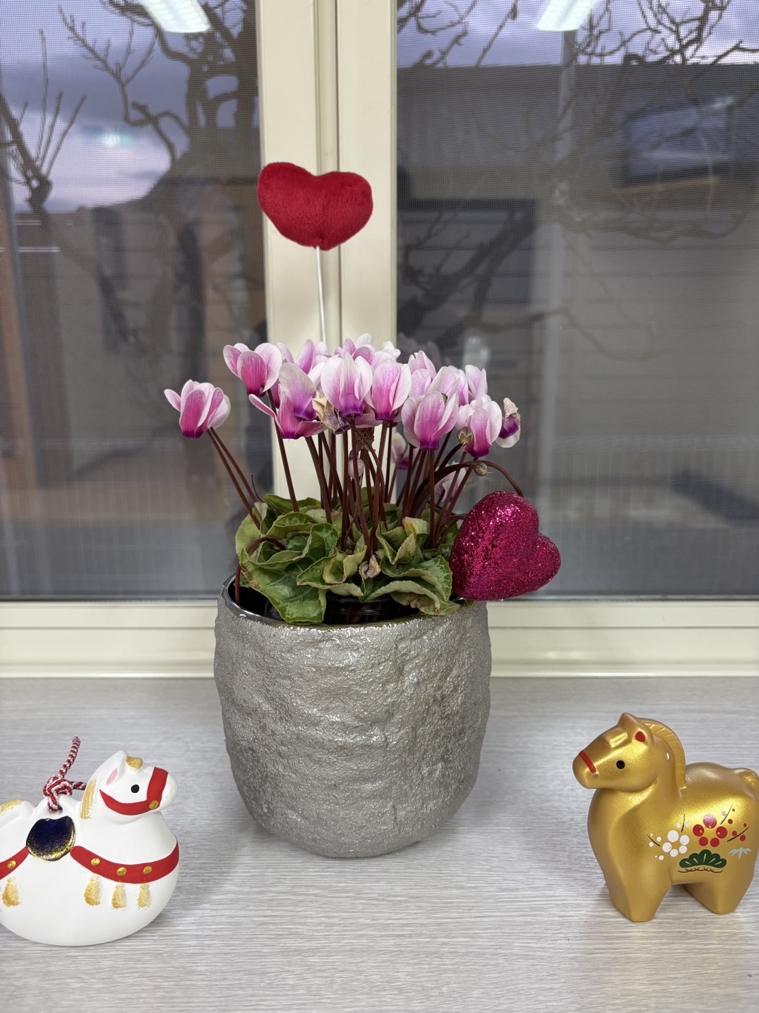 佐々木歯科 今月の花